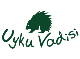Uyku Vadisi Doğadaki Eviniz