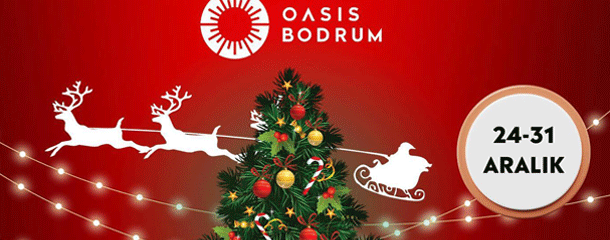 Новогодний фестиваль в «Oasis»