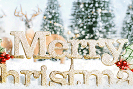 Merry Christmas! Счастливого Рождества!