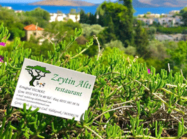 Zeytin Altı Restaurant 